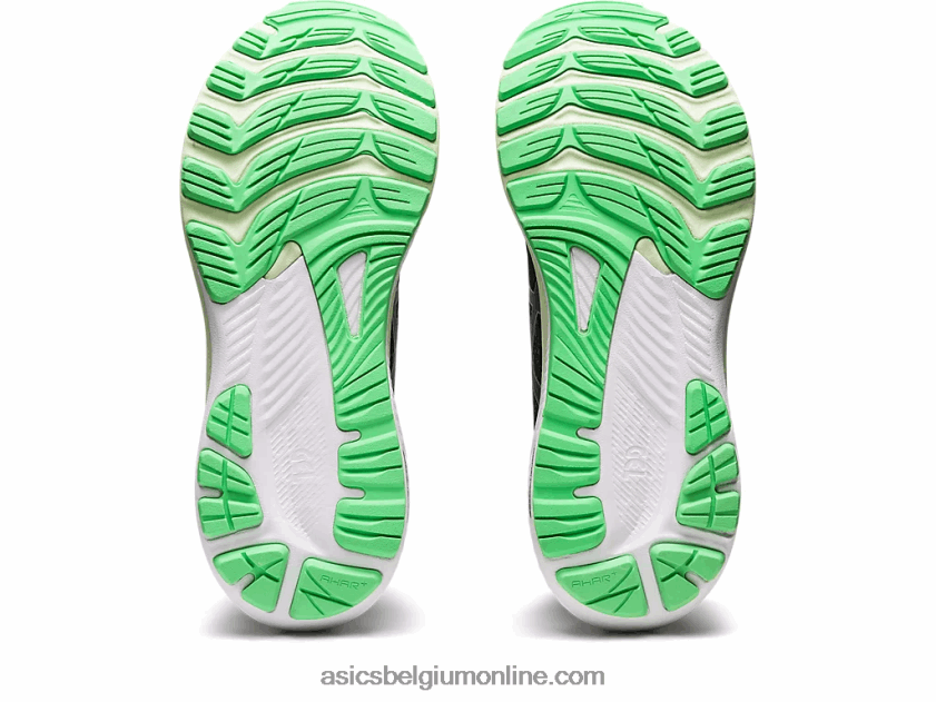gel-kayano 29 V6HXR22436 zwart/puur zilver Asics