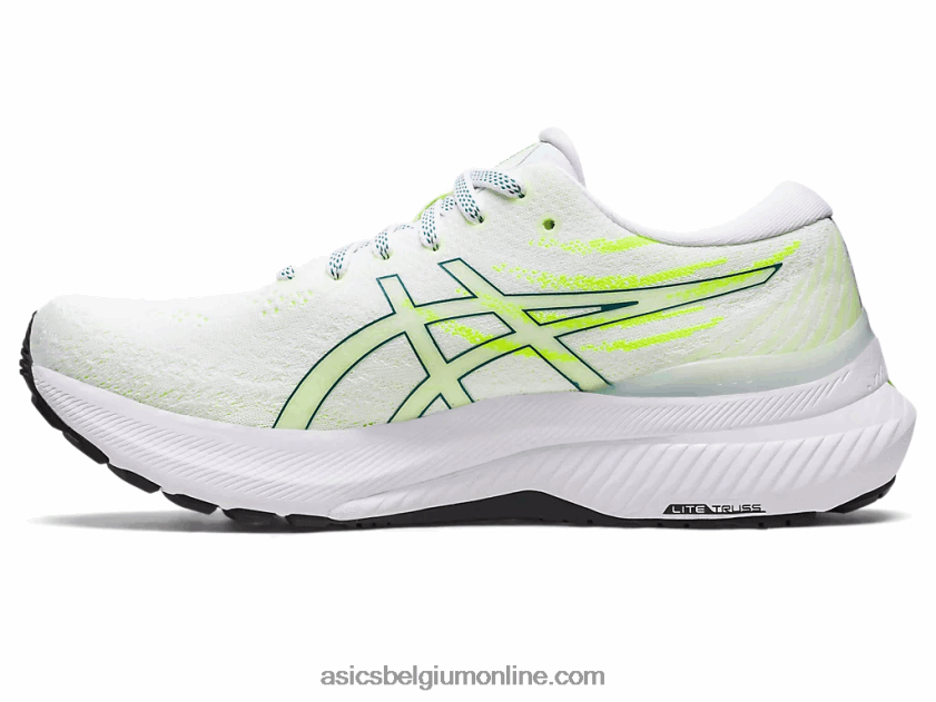 gel-kayano 29 V6HXR23126 wit/fluweel grenen Asics