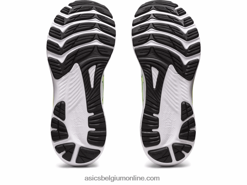 gel-kayano 29 V6HXR23126 wit/fluweel grenen Asics