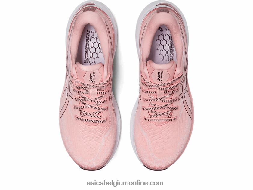 gel-kayano 29 V6HXR23130 frosted roos/diepe mars Asics