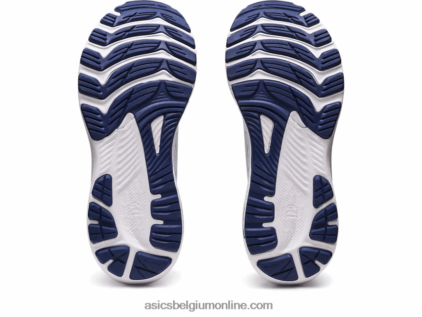 gel-kayano 29 breed V6HXR22407 hemel/champagne Asics