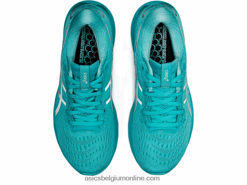 gel-nimbus 24 lite-show V6HXR23416 lite show/ijsmunt Asics