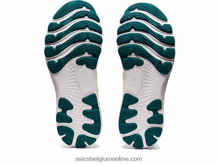 gelnimbus 24 V6HXR22974 wit/fluweel grenen Asics