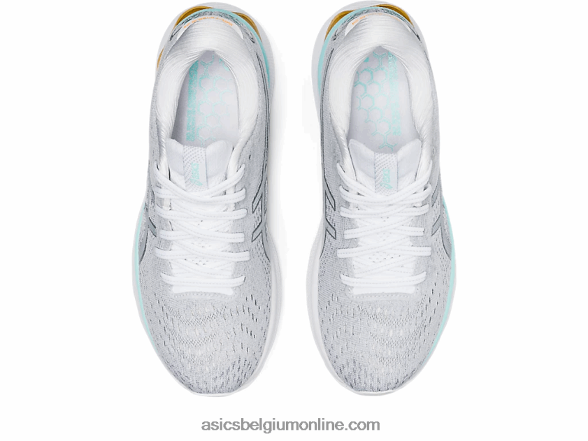gelnimbus 24 V6HXR23234 wit/puur zilver Asics
