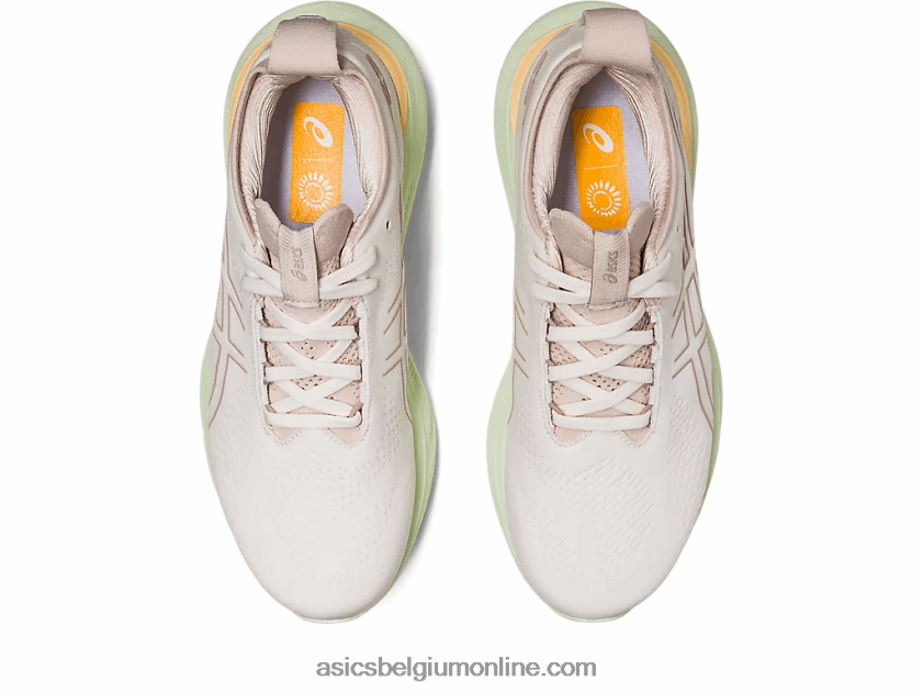 gelnimbus 25 V6HXR22378 creme/bruin Asics