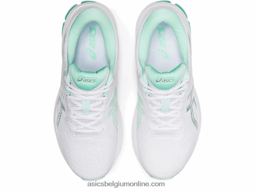 gt-1000 10 V6HXR23896 wit/puur zilver Asics