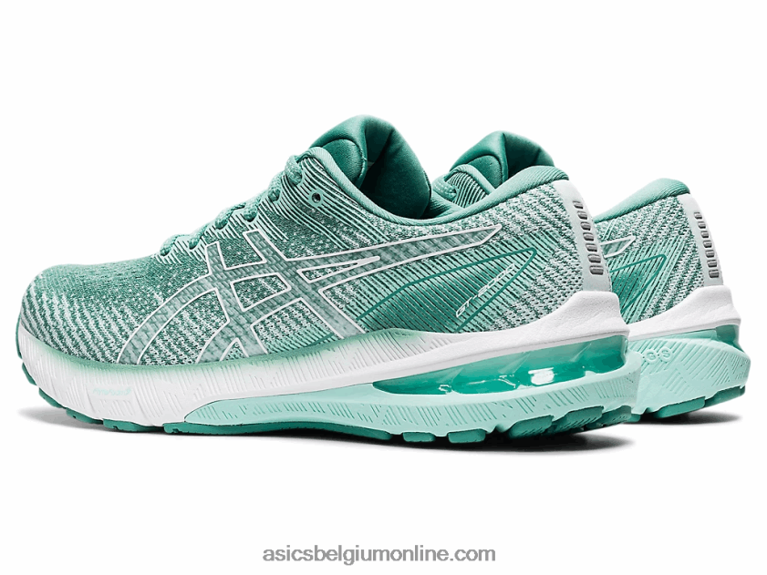gt-2000 10 V6HXR23427 salie/wit Asics