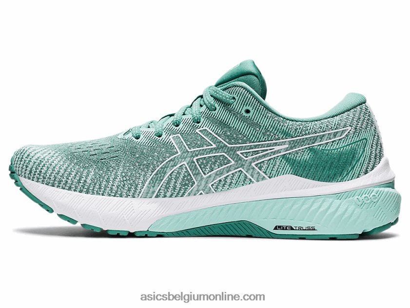 gt-2000 10 V6HXR23427 salie/wit Asics