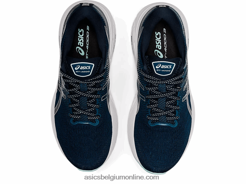 gt-4000 3 V6HXR22658 frans blauw/puur zilver Asics