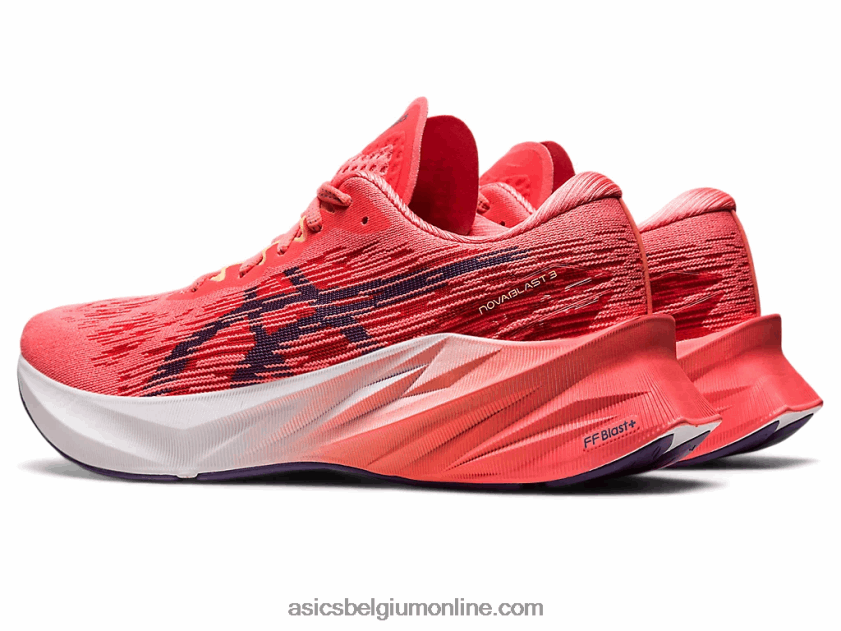 novablast 3 V6HXR22416 papaja/stoffig paars Asics
