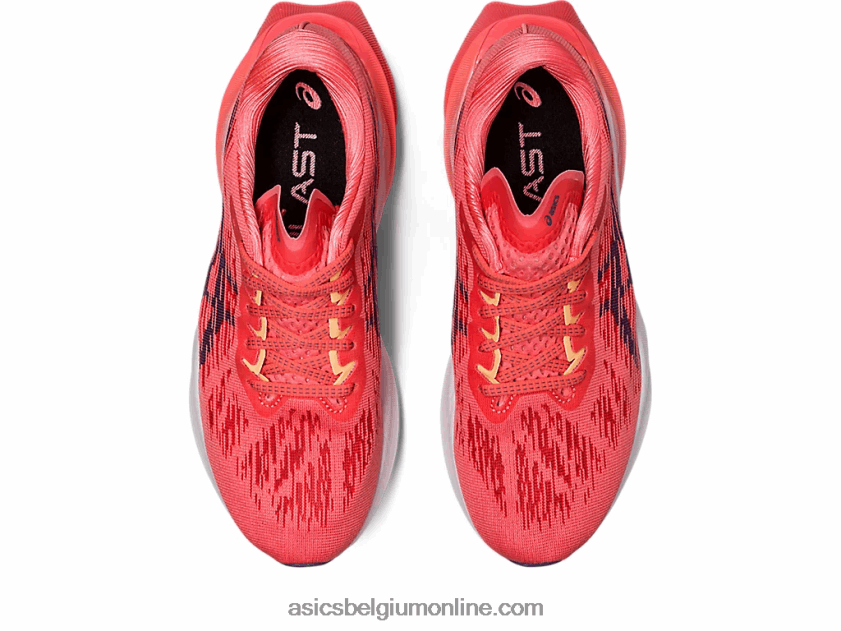 novablast 3 V6HXR22416 papaja/stoffig paars Asics
