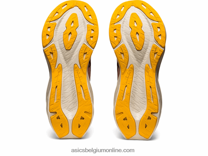 novablast 3 V6HXR22951 frosted roos/diepe mars Asics