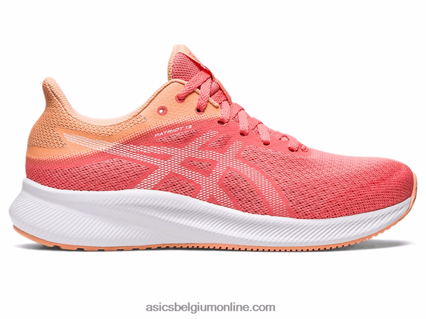 patriot 13 V6HXR22583 papaja/wit Asics