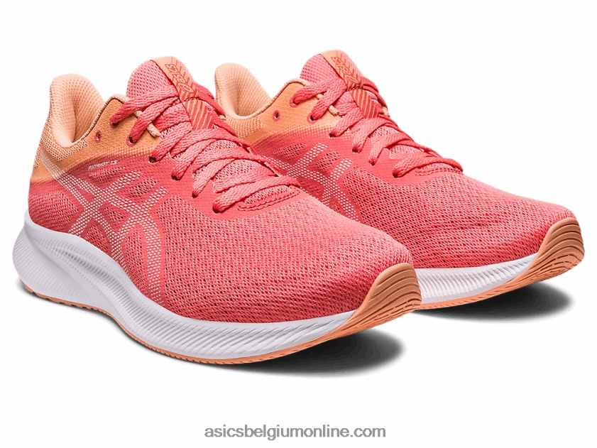 patriot 13 V6HXR22583 papaja/wit Asics
