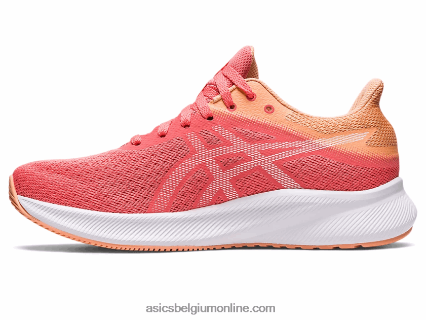 patriot 13 V6HXR22583 papaja/wit Asics