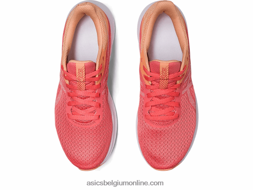 patriot 13 V6HXR22583 papaja/wit Asics