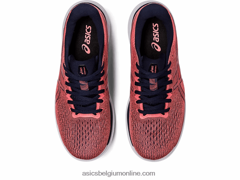 zweefvliegen 3 V6HXR22201 papaja/middernacht Asics