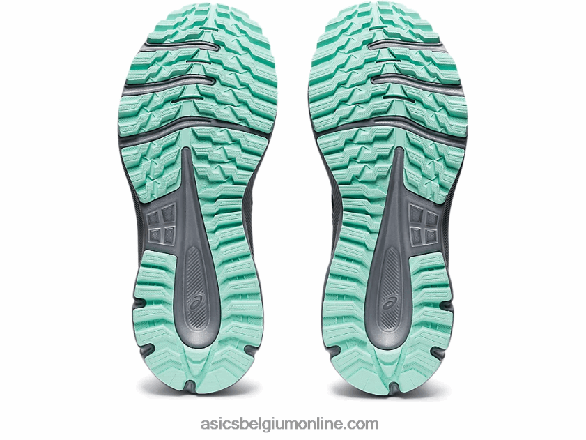 padverkenner 2 V6HXR23730 zwart/berken Asics
