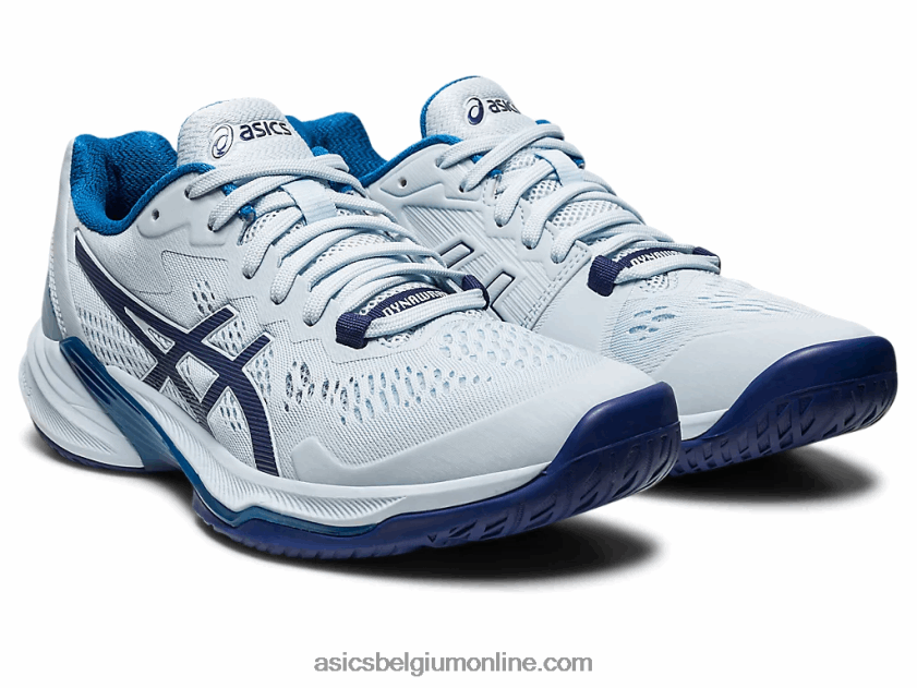hemel elite ff 2 V6HXR22506 hemel/indigoblauw Asics